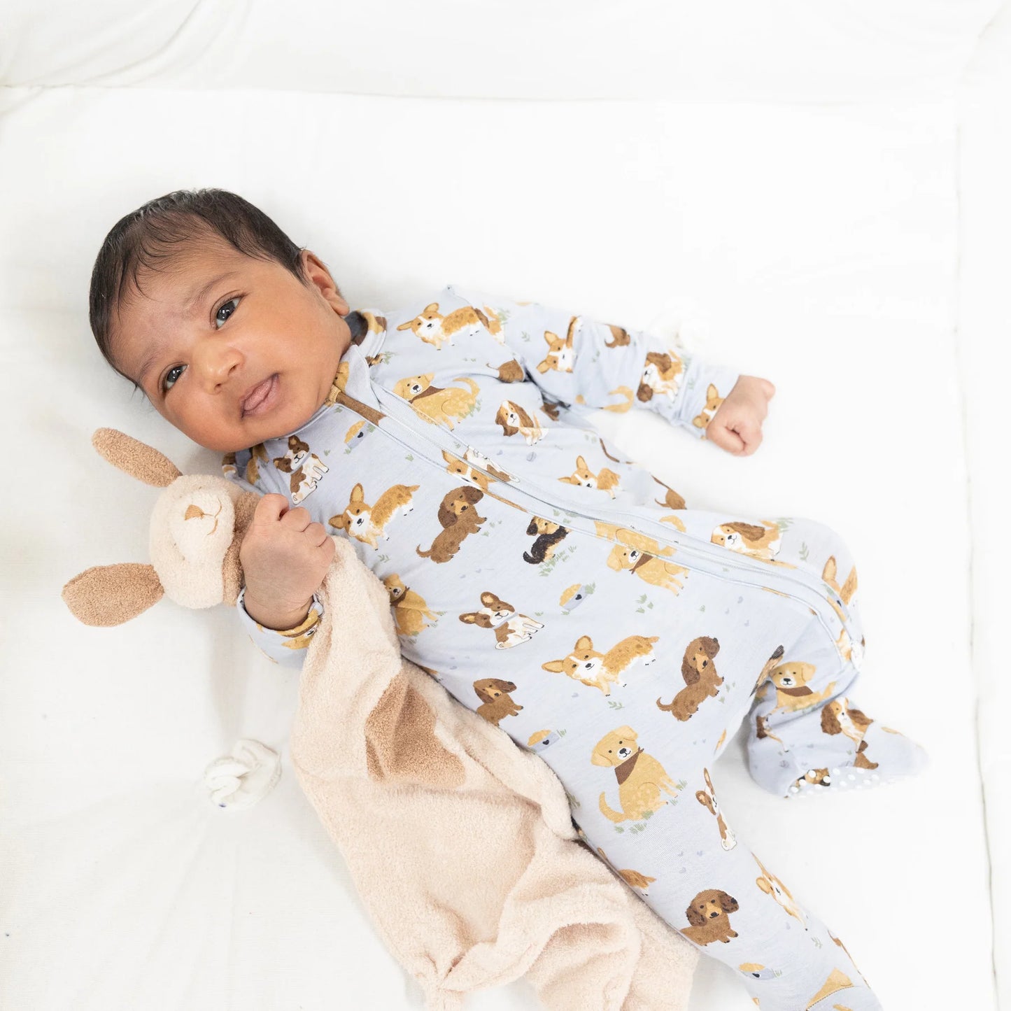 Best friends dogs 2 way zipper footie - blue