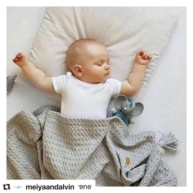 Alvin the elephant organic toy w,. rubber head