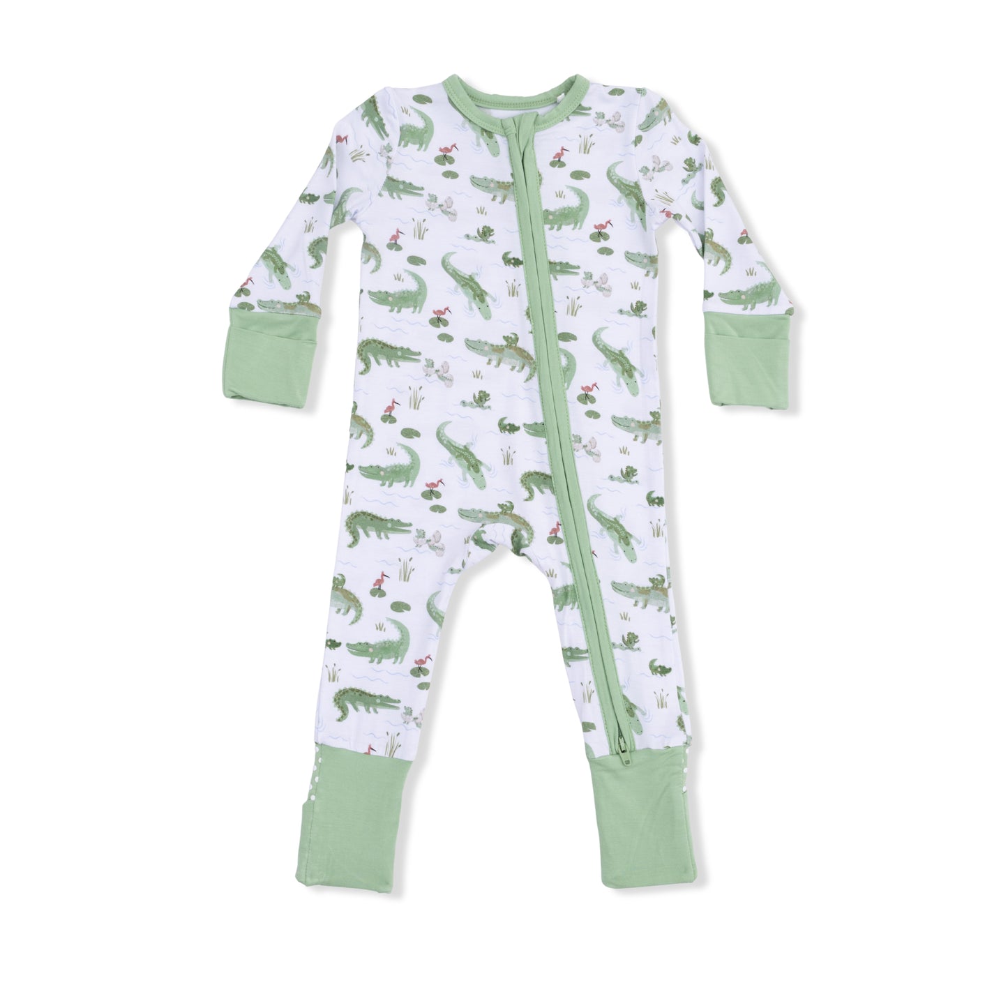 Crayon alligators conv romper