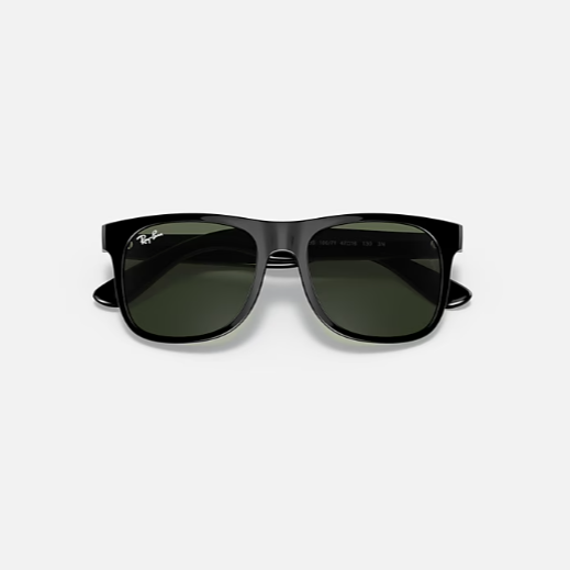 Rayban Justin - black/dark green