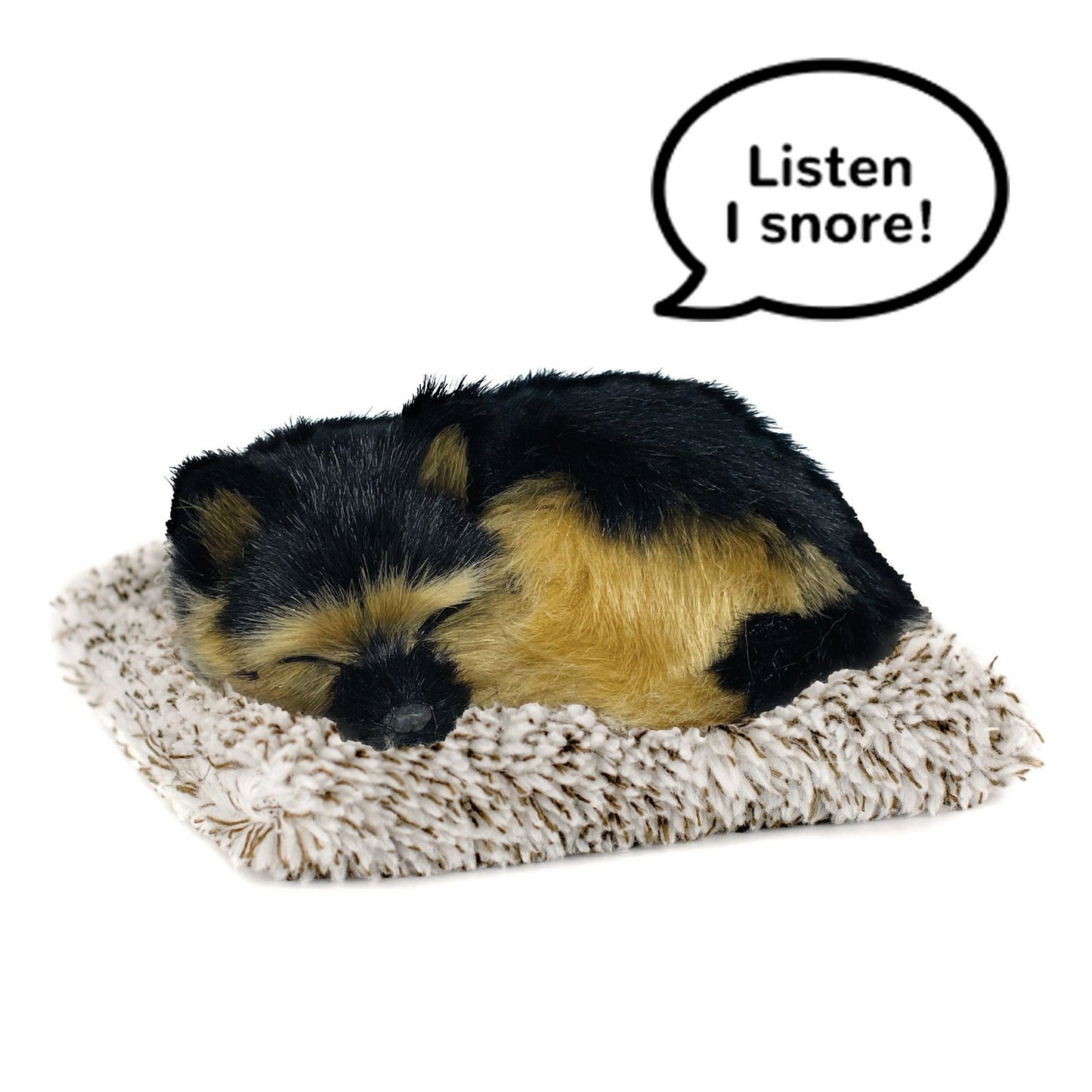 Mini german shepherd perfect petzzz