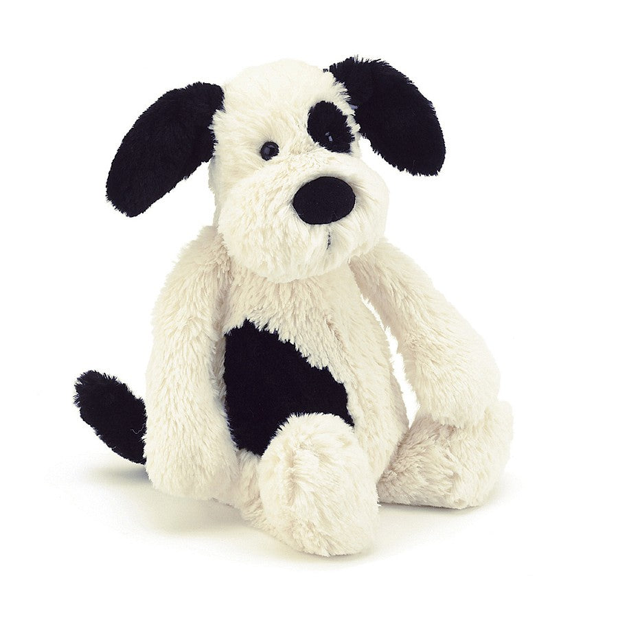 Bashful black & cream puppy