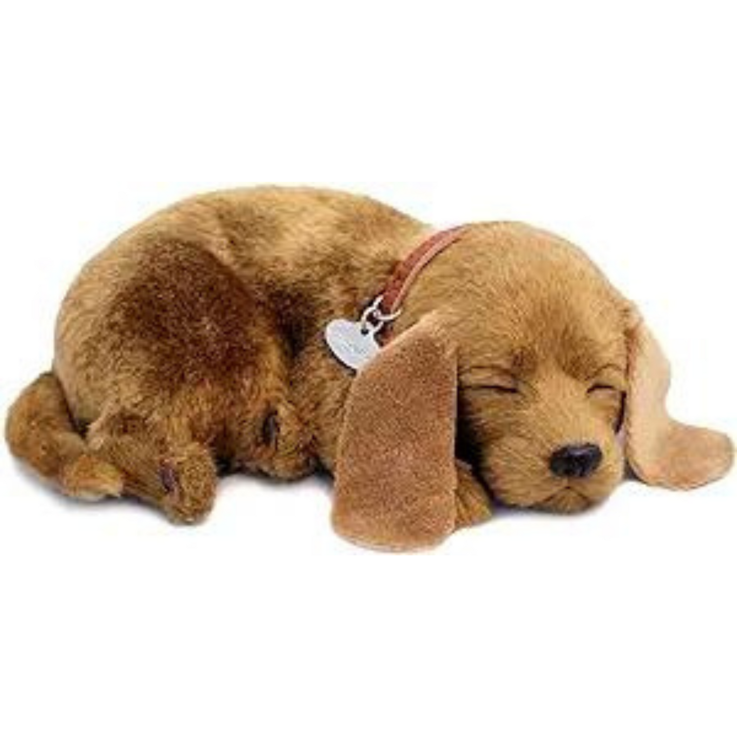 Mutt perfect petzzz