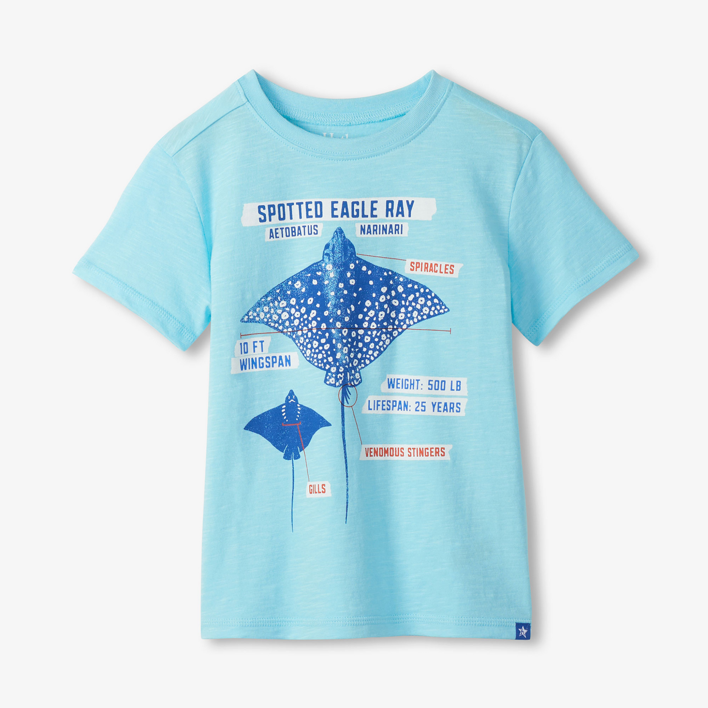 String ray graphic tee