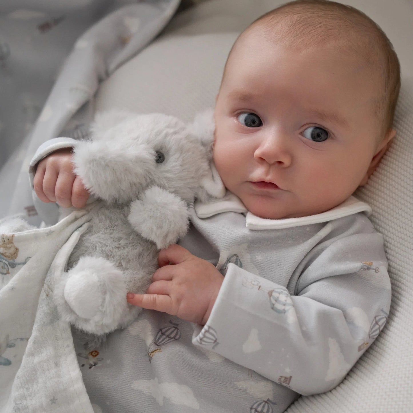 Elephant plush toy & dreamscape blankie