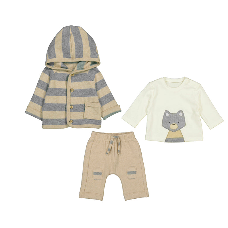 Raccoon striped 3pc tracksuit