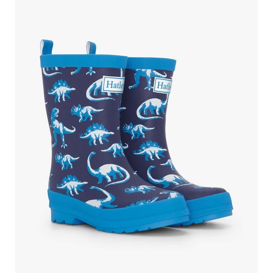 Painted dinos rainboots