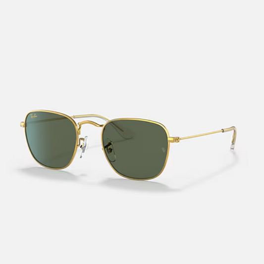 Rayban Frank - legend gold/dark green