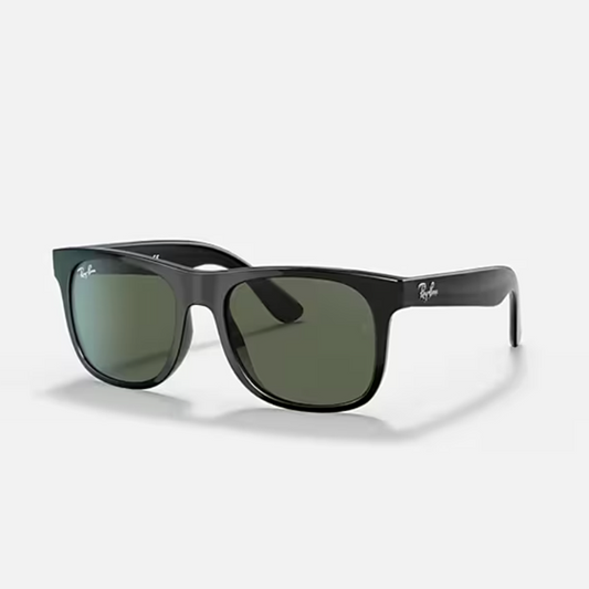 Rayban Justin - black/dark green