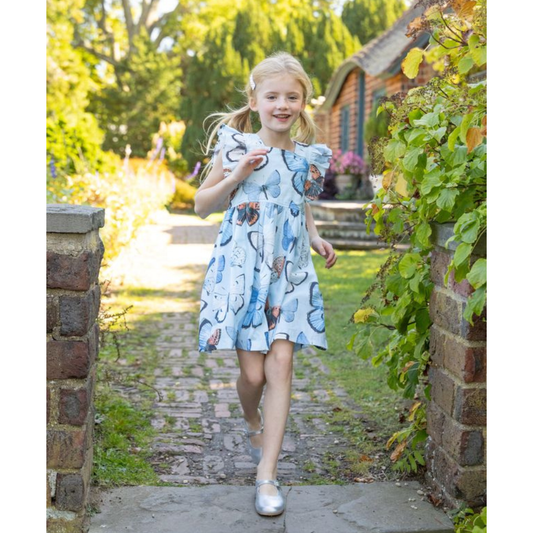 Adaline dress - blue vintage butterflies