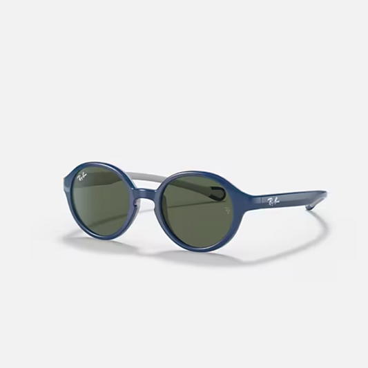 Rayban Sunglasses - blue w. dark green