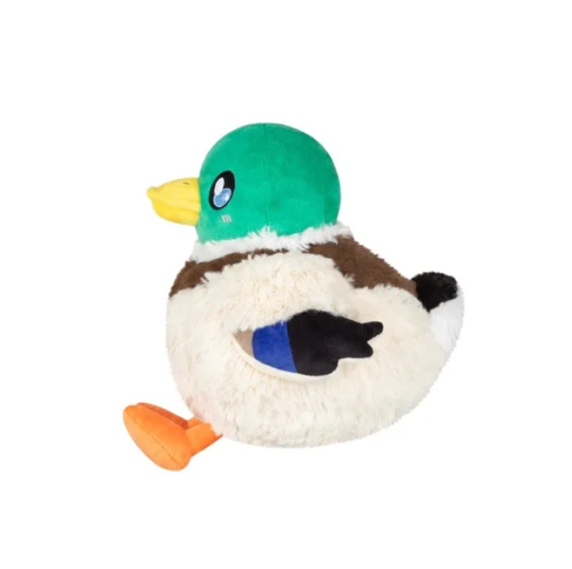 Mini Squishable Mallard Duck