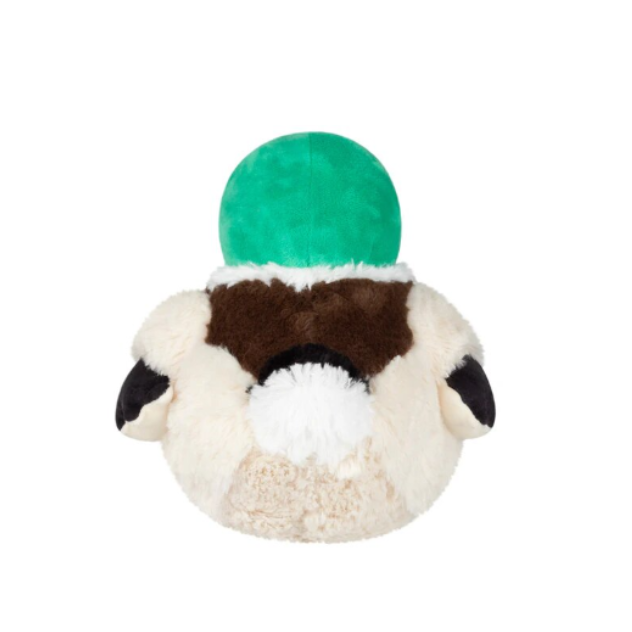 Mini Squishable Mallard Duck