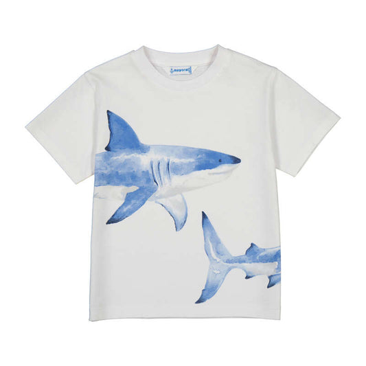 Shark s/s tshirt