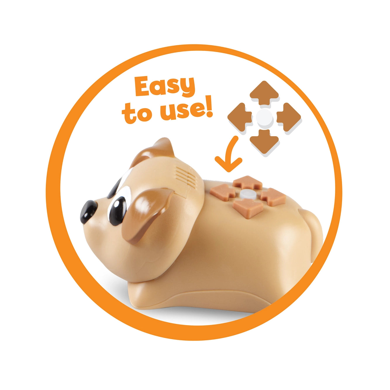 Coding critters ranger & zip