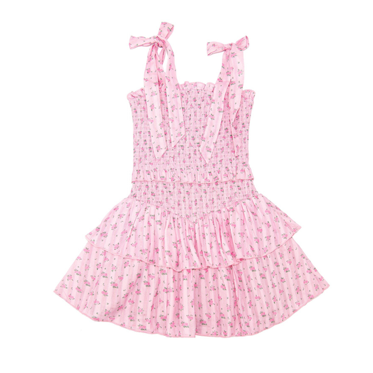 Emerson dress - blush rose ditsy