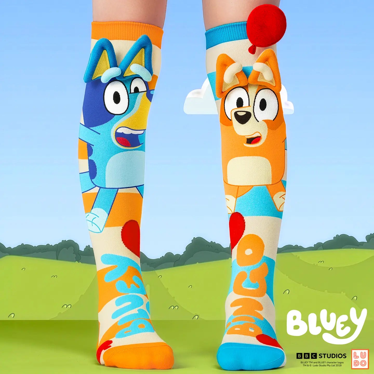 Bluey socks