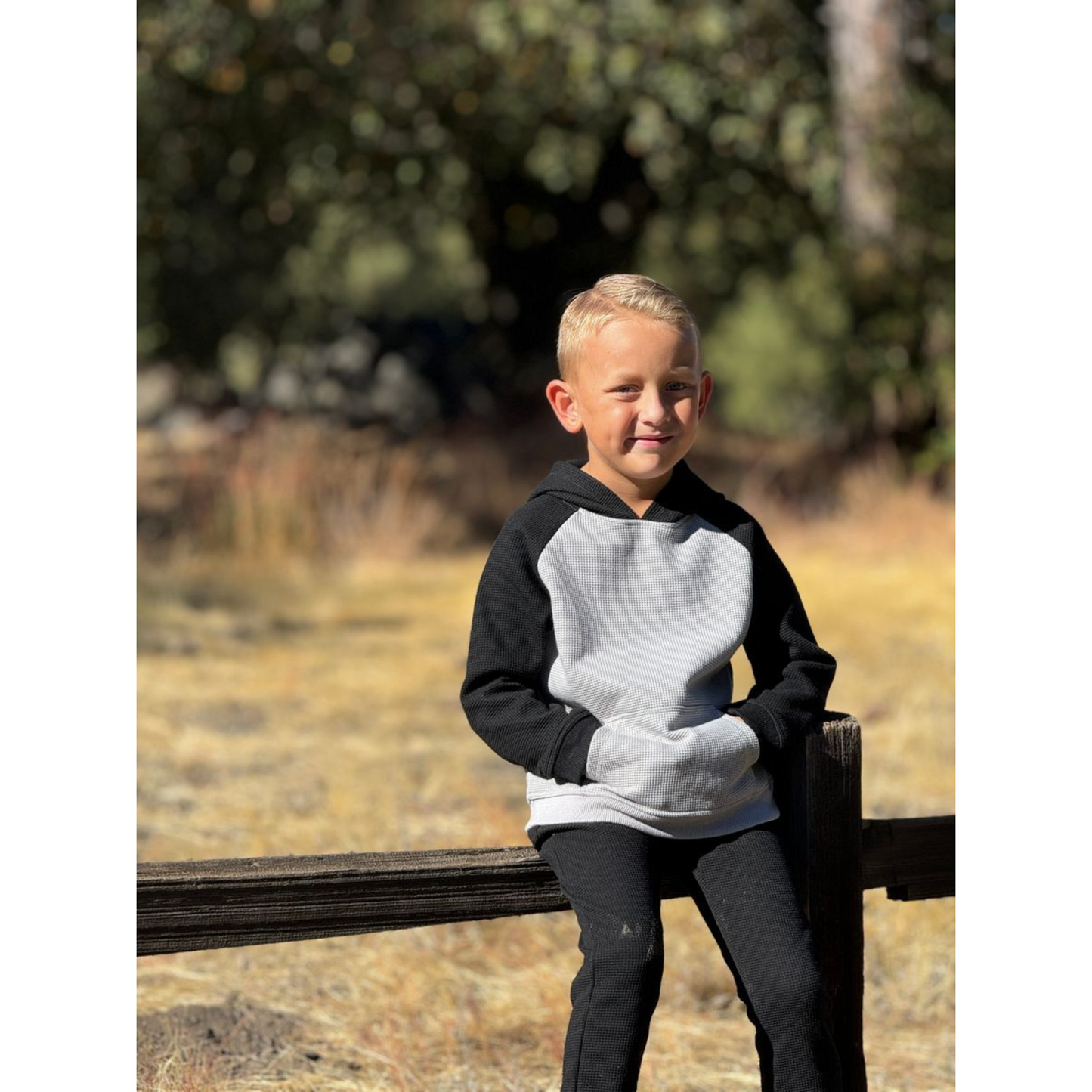 James hoodie - grey/black