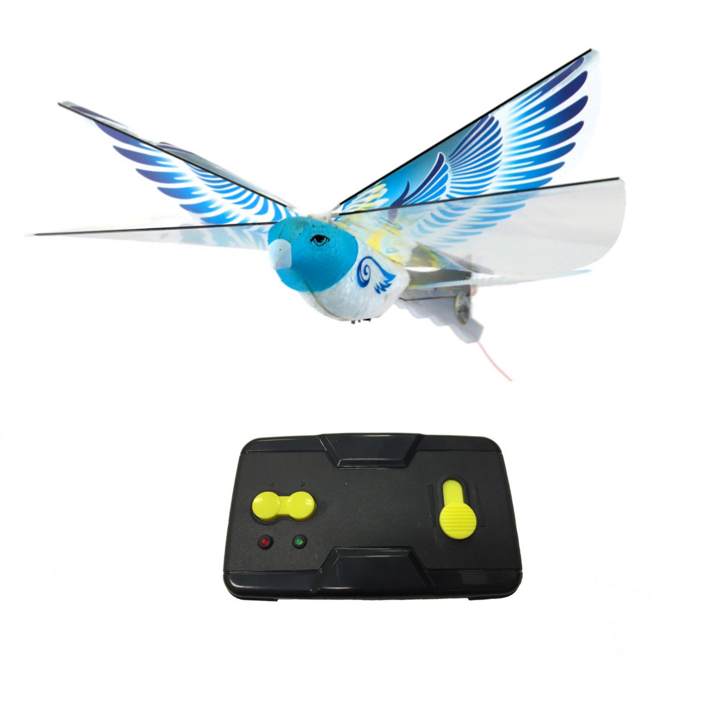 Ebird blue - pigeon