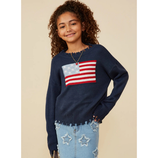 Old glory graphic sweater