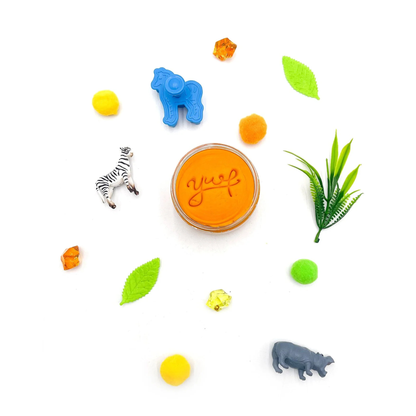 Zoo grab & go dough jar