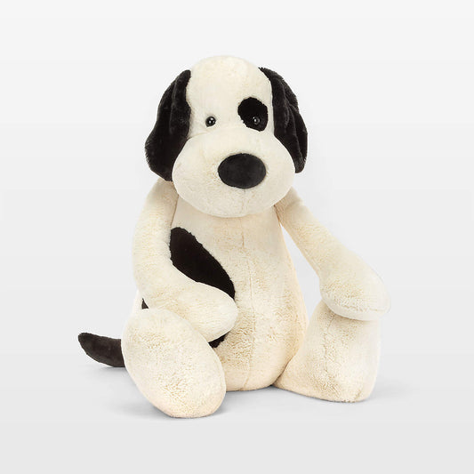 Bashful black & cream puppy gigantic