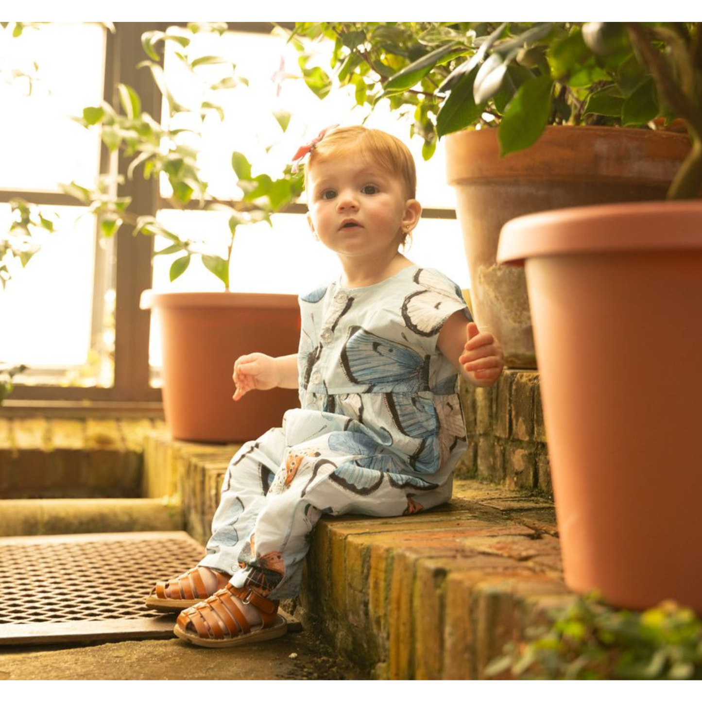 Alexandra jumper - blue vintage butterflies