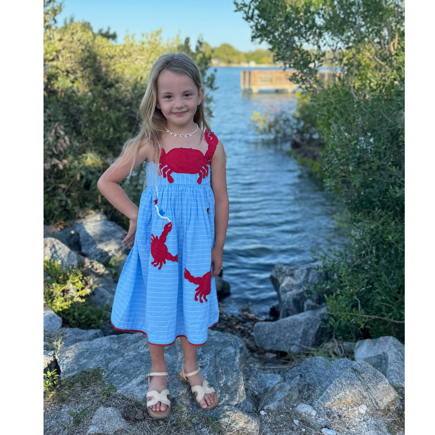 Crab applique dress