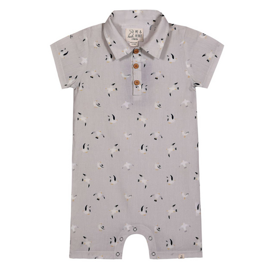 Grey seagulls romper