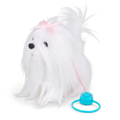 Animigos magnificent maltese